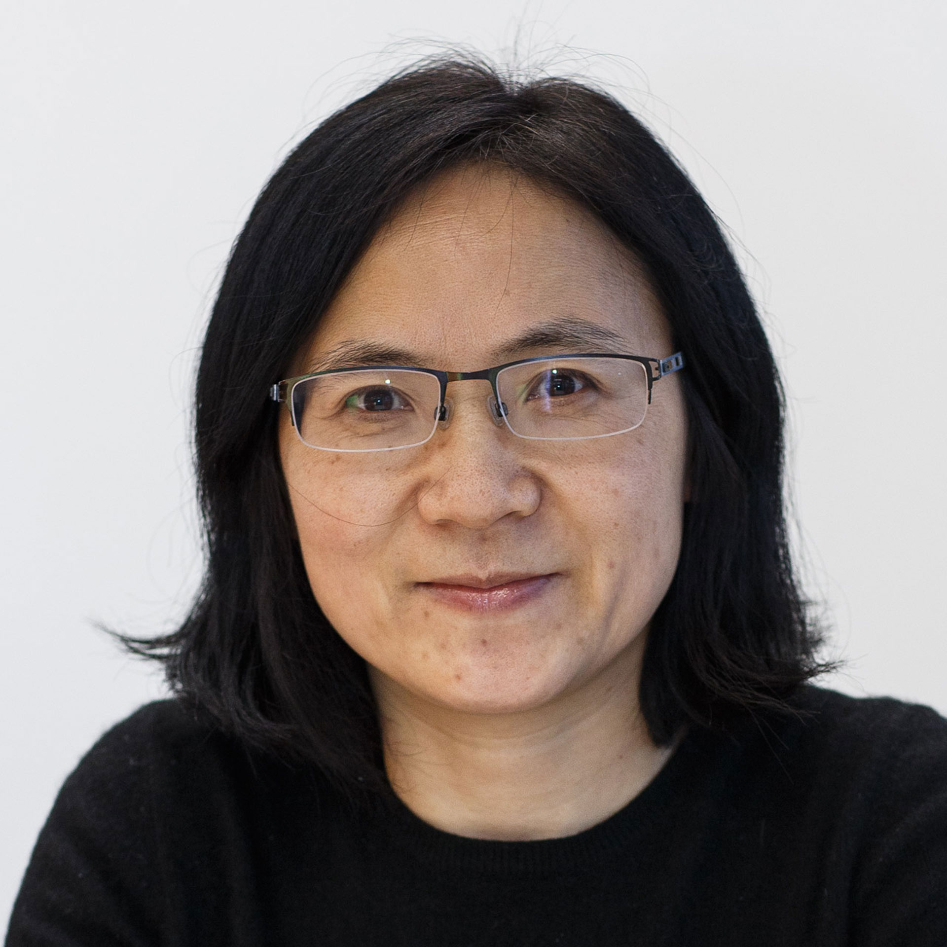 Portrait of Professor Jing Ping Wang