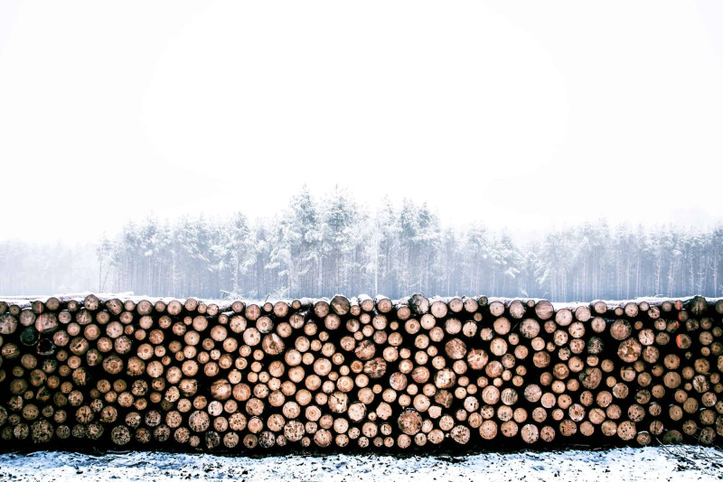 a pile of logs in front of snow covered trees