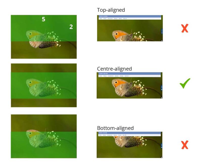 Screenshot showing image alignment