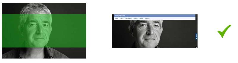 Screenshot showing banner alignment of face