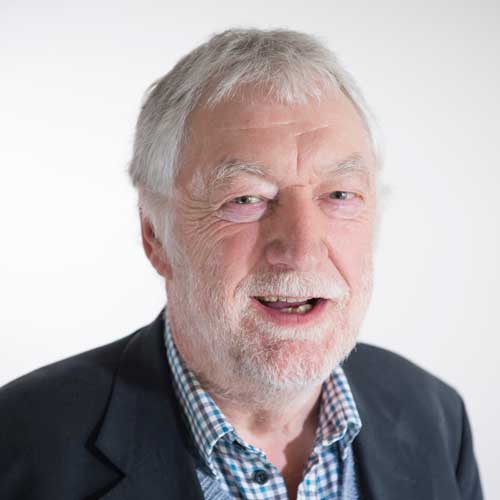 Portrait of Professor William Howarth