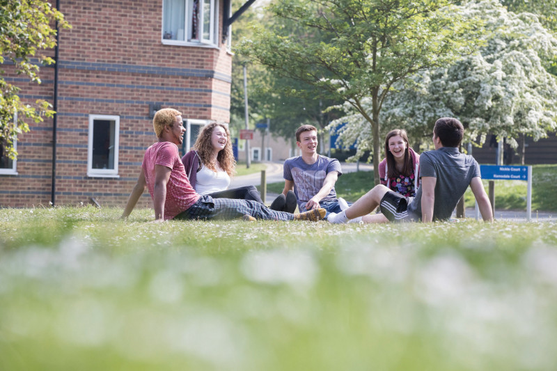 Students on the grass outside Park Wood housing