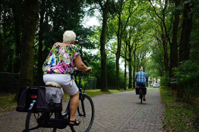 Elderly couple riding bicycles on brick road