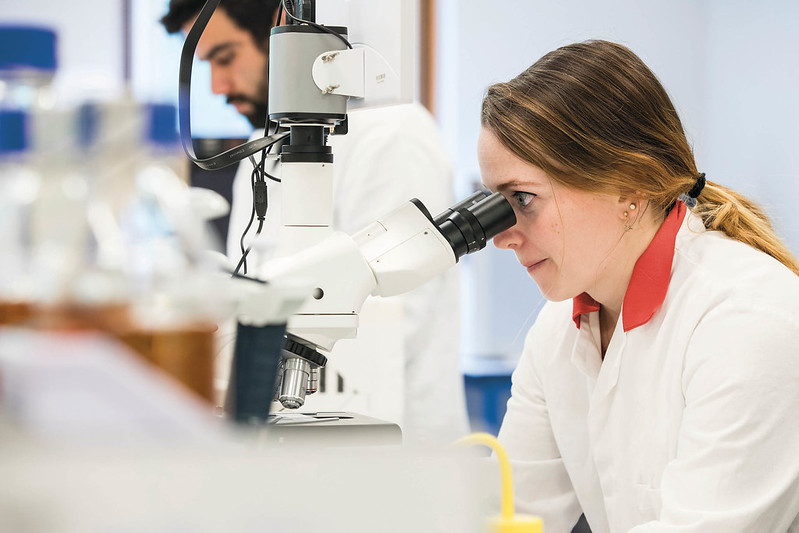 Front cover image of Level 7 Research Scientist Brochure