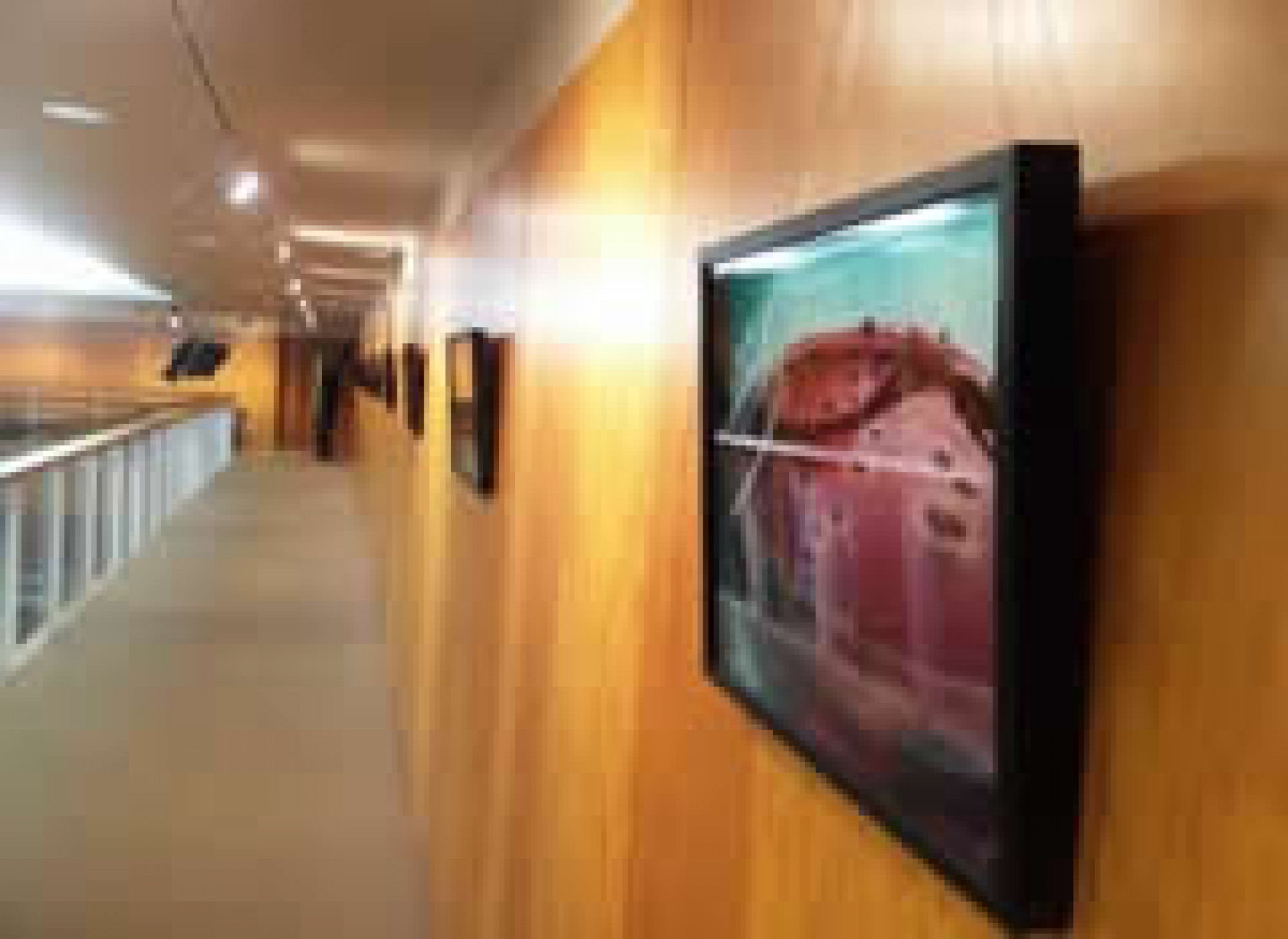 Gallery exhibition in Colyer-Fergusson