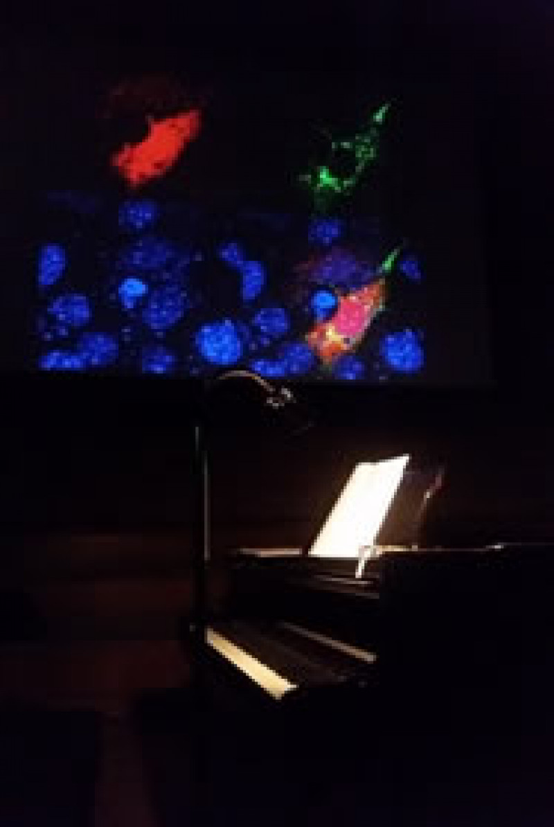Grand piano and projections ready in the concert-hall