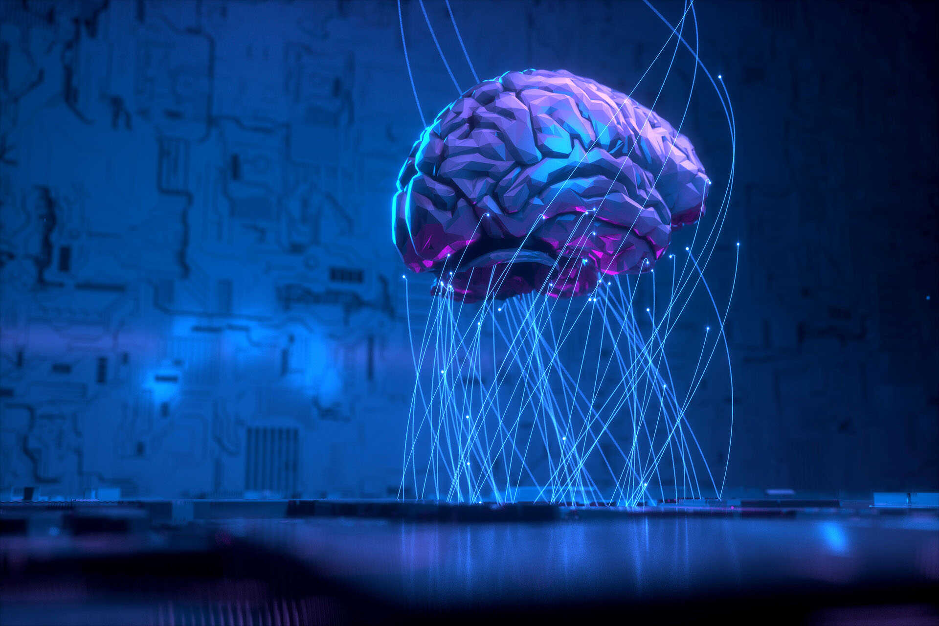 Colourful holographic image of the human brain