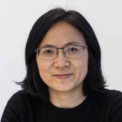 Portrait of Professor Jing Ping Wang 