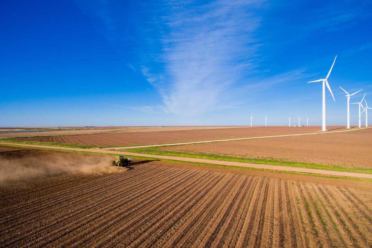 Environment Studies Virtual visit University of Kent