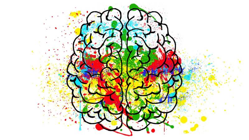 An illustration of a brain splashed with colour