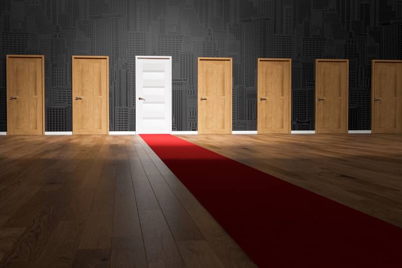 A selection of mainly brown doors with a red pathway pointing to a white door Image by Arek Socha, Pixabay