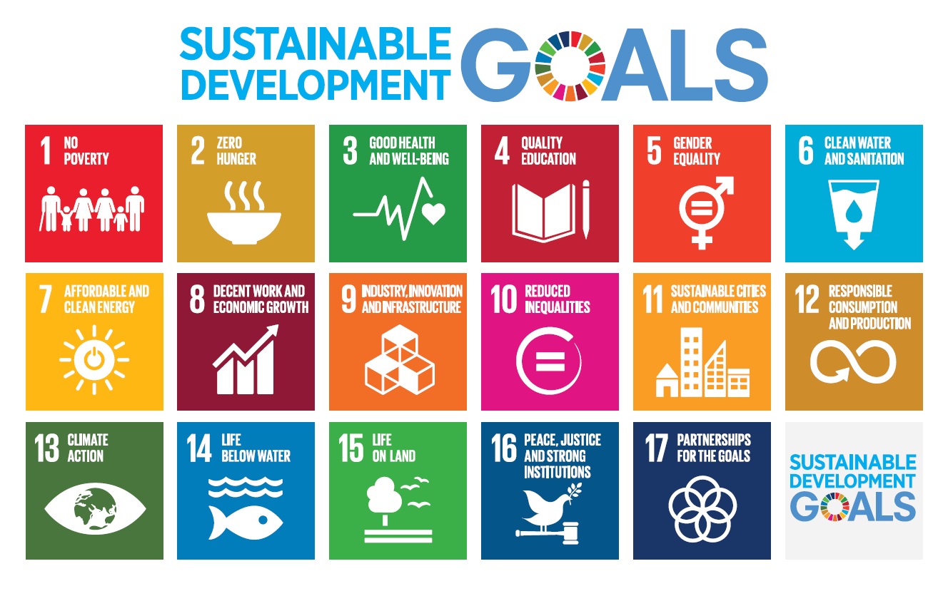 Front cover image of SDGs in HE Examples