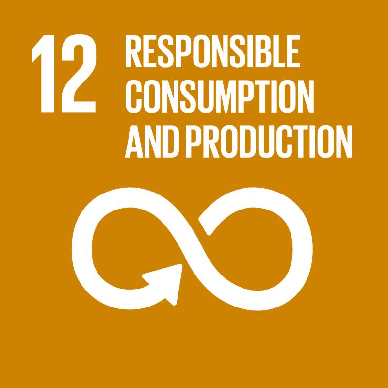 SDG Goal 12