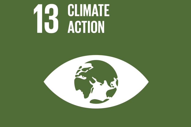 The icon for the 13th SDG Climate Action