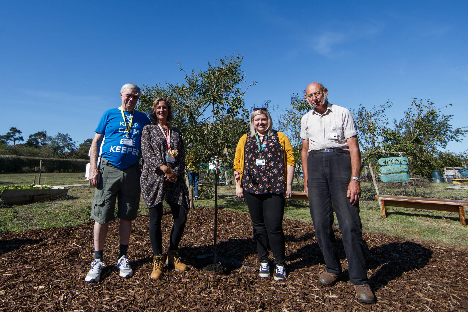 Four people stand round a newly planted tree
