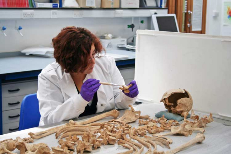 Female academic examines bones from a skeleton in the lab