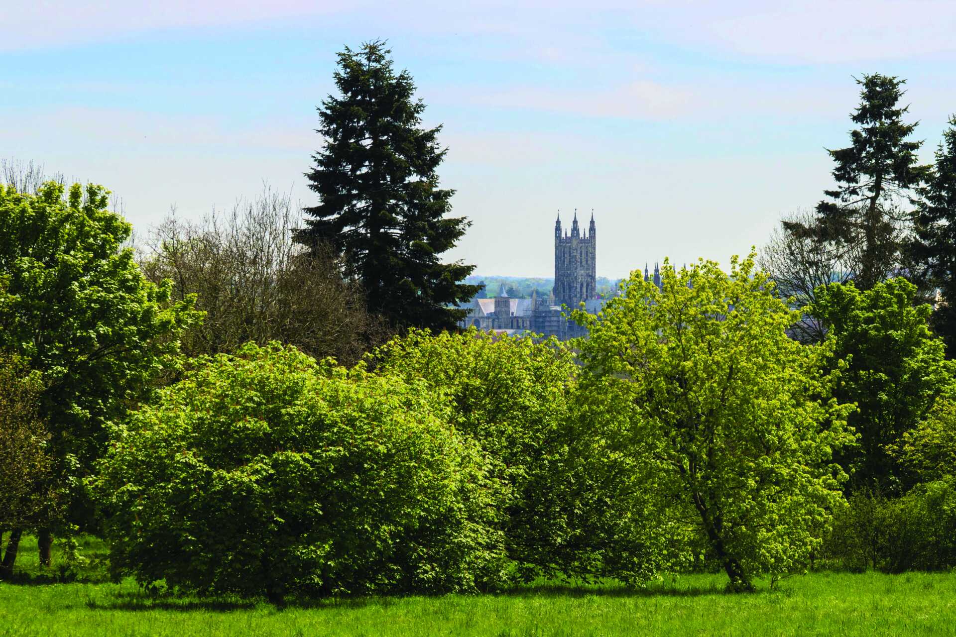 view over Canterbury