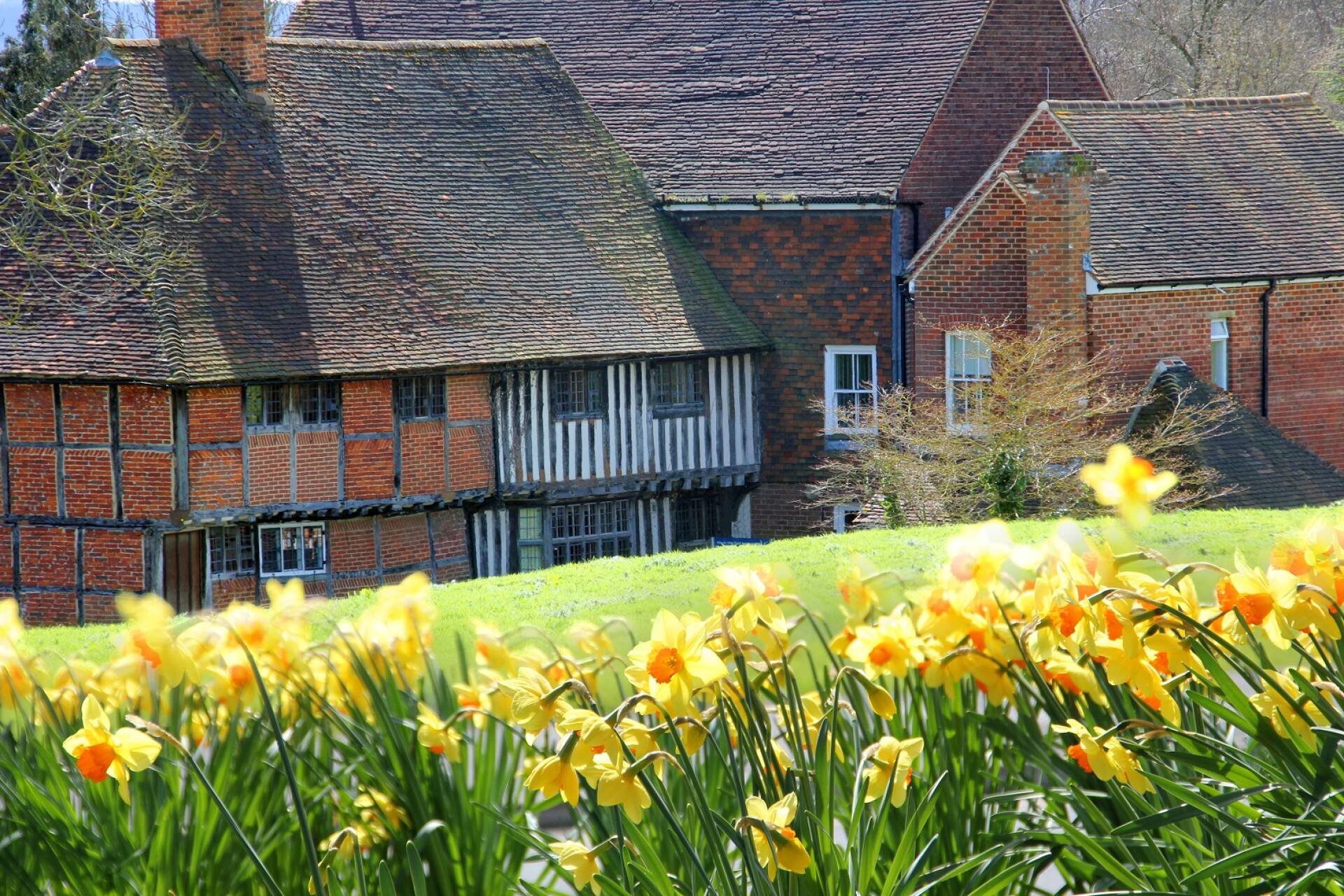 Exterior of Beverley Farmhouse in Spring surrounded by daffodils