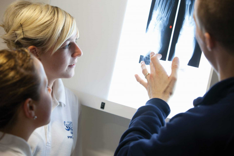 Student looking at an x-ray