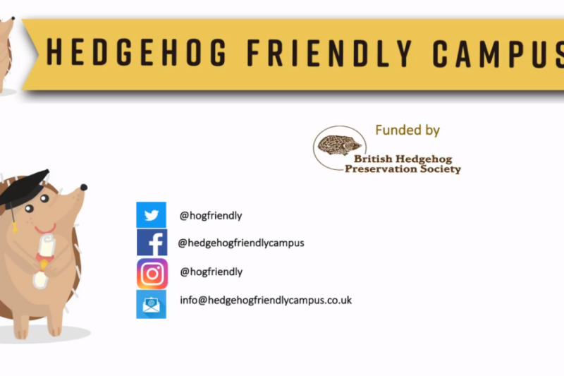 Hedgehog Friendly Campus logo and contact details