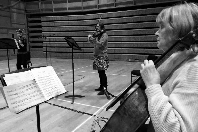 Three string-players rehearsing in the concert-hall