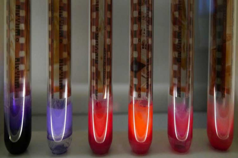 colourful test tubes