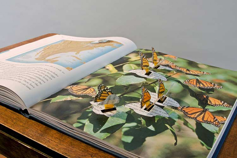 Pop-up book with butterflies