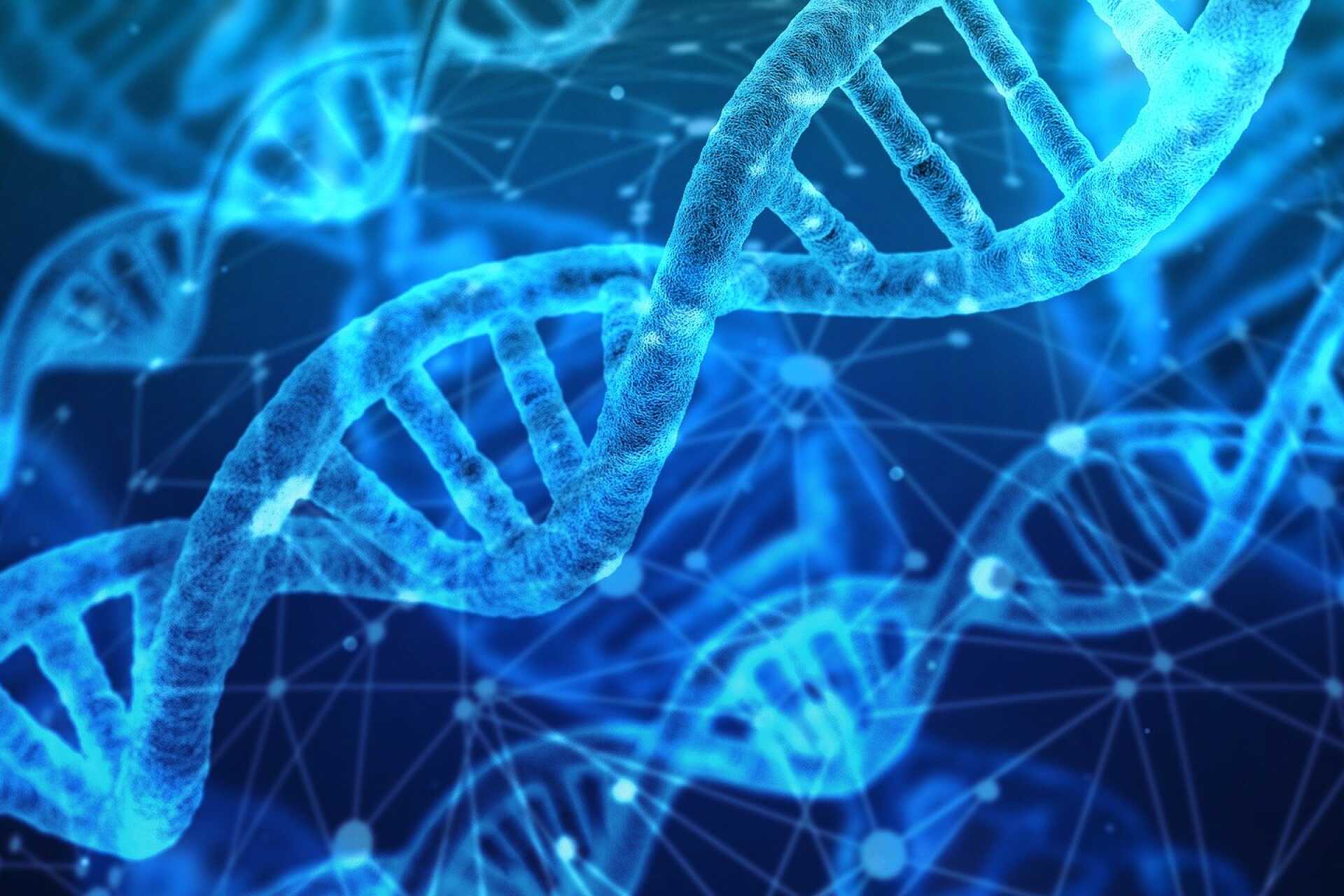 graphic of DNA