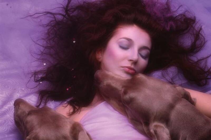 Image cover from Hounds of Love by Kate Bush