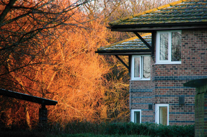 Image of Park Wood College buildings next to the autumn woods.
