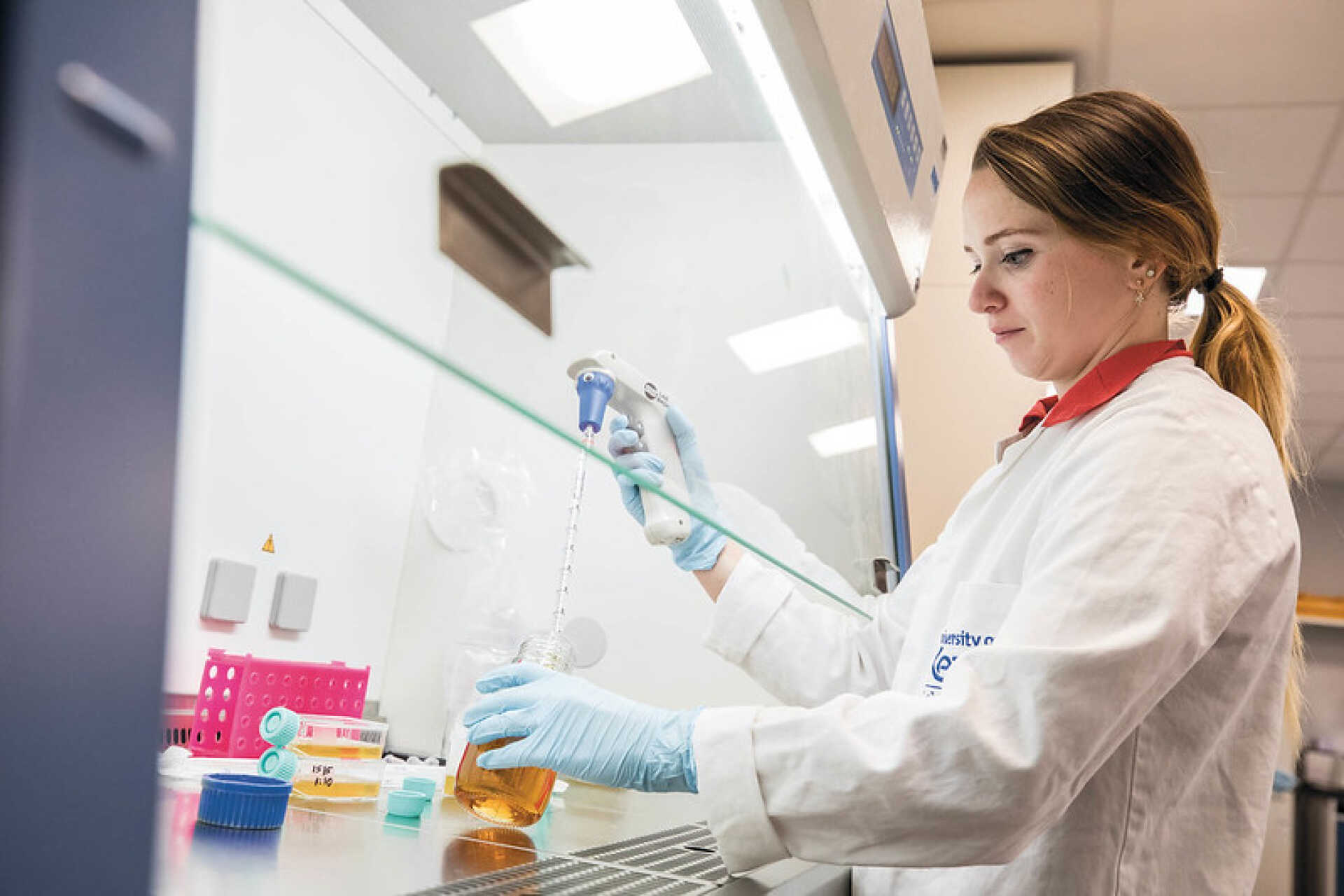 Student in lab coat working behind safety glass conducting an experiment
