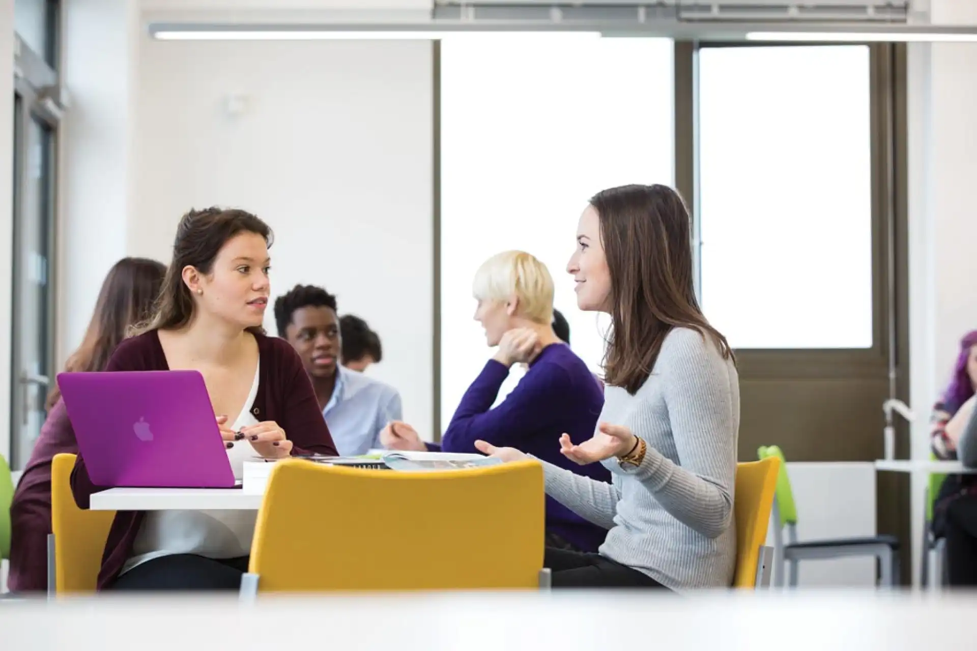 Diversity Mark are a key strength of the initiative Student