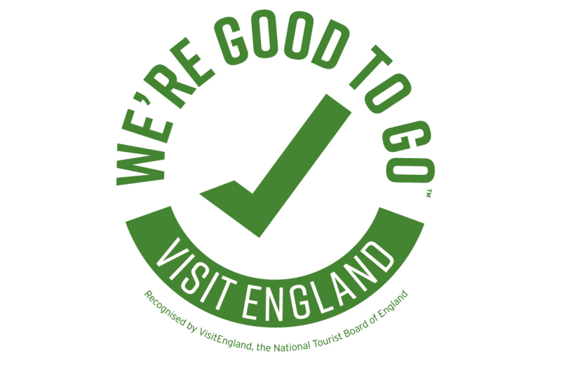 Good to Go Logo