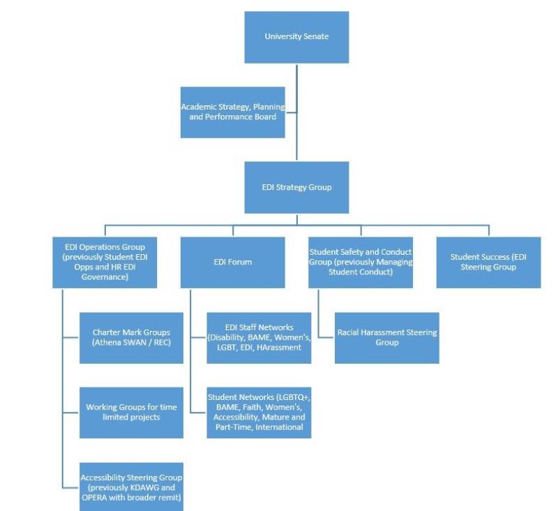 EDI Governance Structure diagram