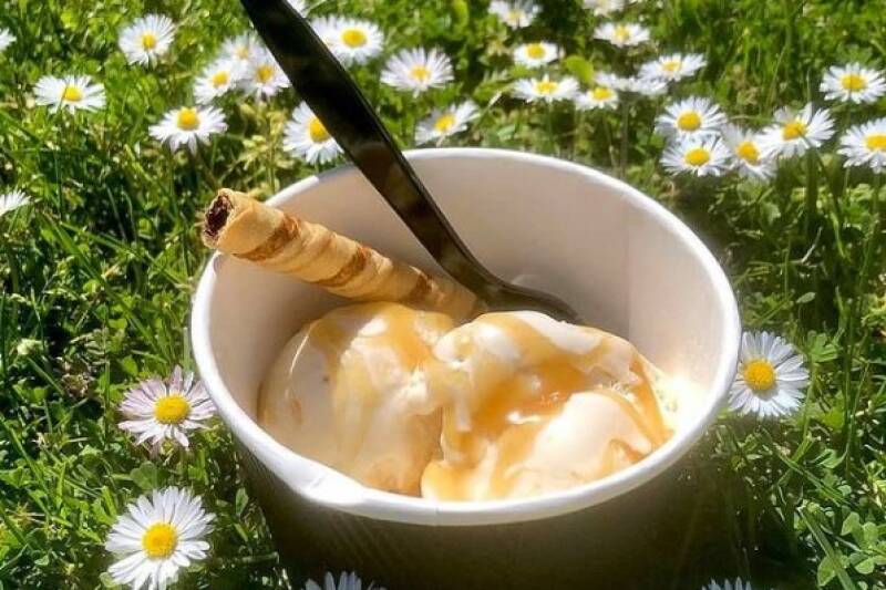 Ice cream in a tub sitting on grass and daisies