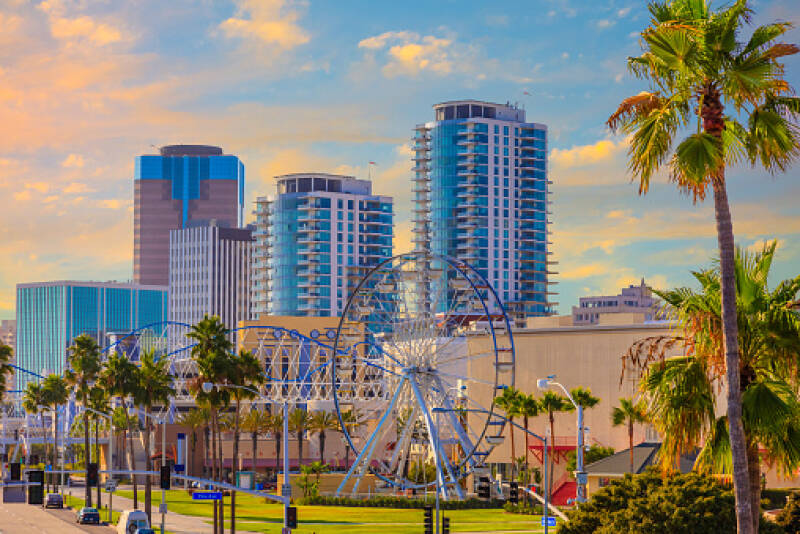 Ferris wheel, palm trees and buildings in background in Long Beach, California