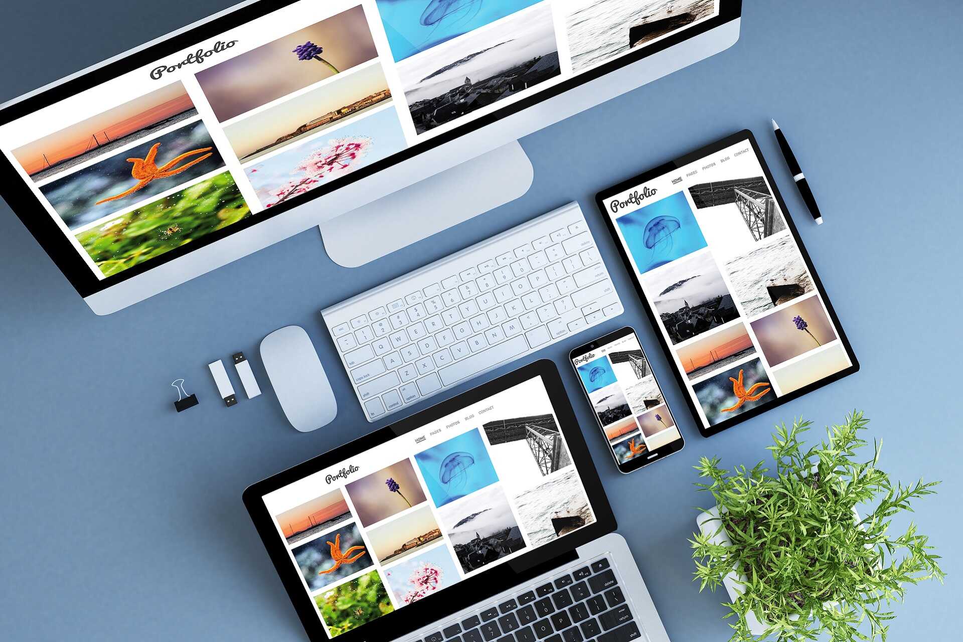 Get A Better Job With A Professional Online Portfolio Blog