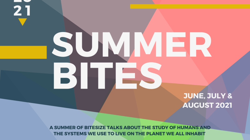 Summer Bites cover image