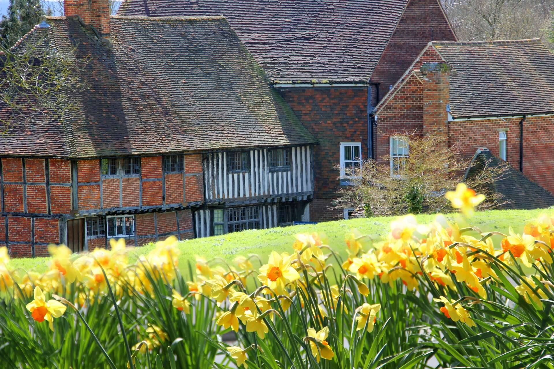 Beverley Farm in the spring