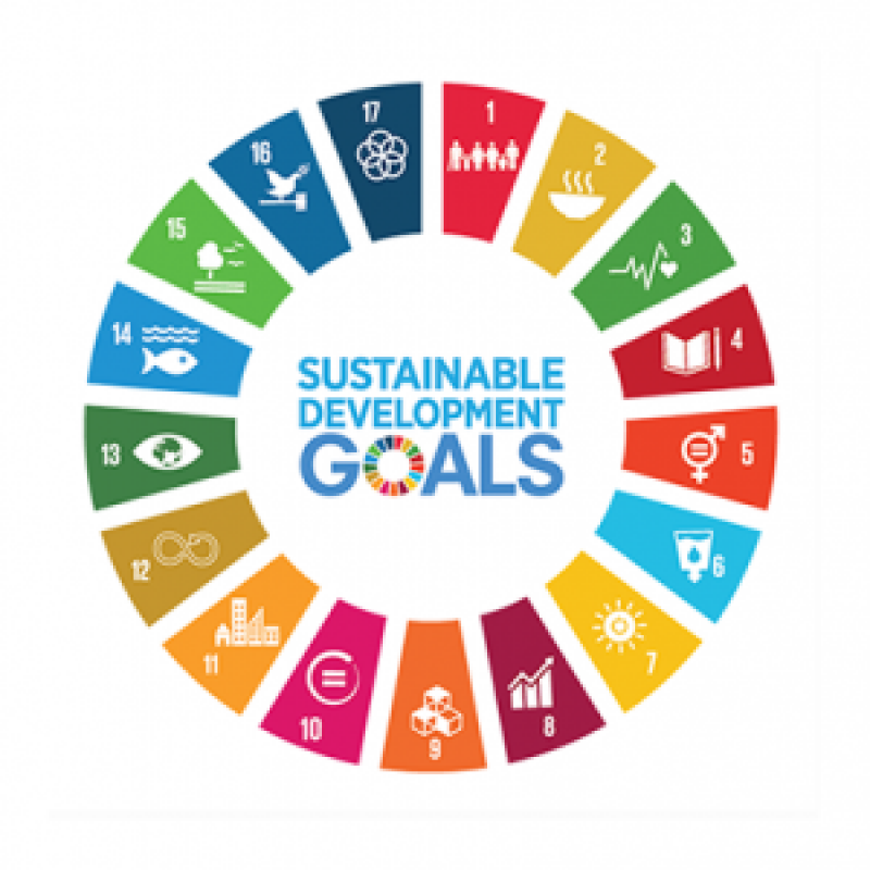 The Sustainable Development Goals.