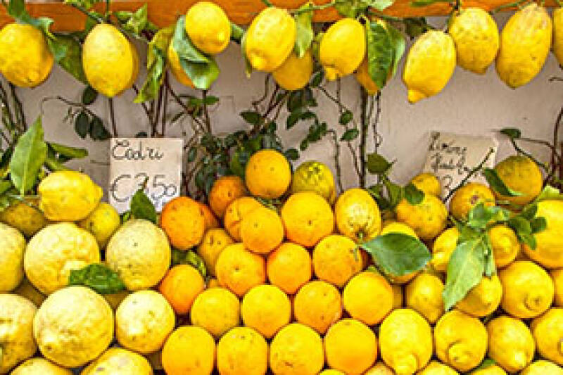Lemons on sale at a European market