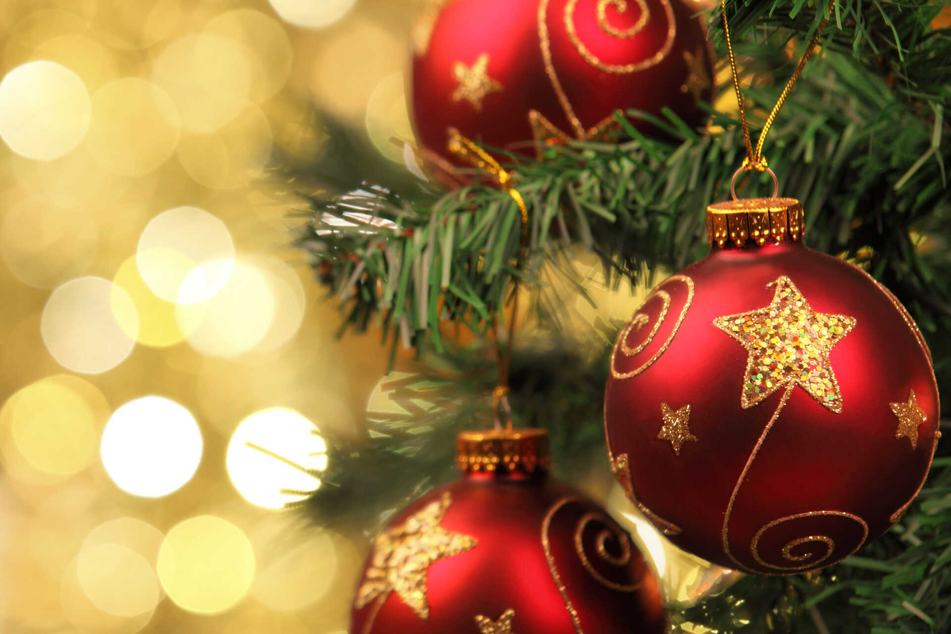 Christmas Parties at the University of Kent Conferences and Events