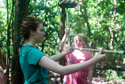 Students setting up a bat harp trap in the Borneo rainforest