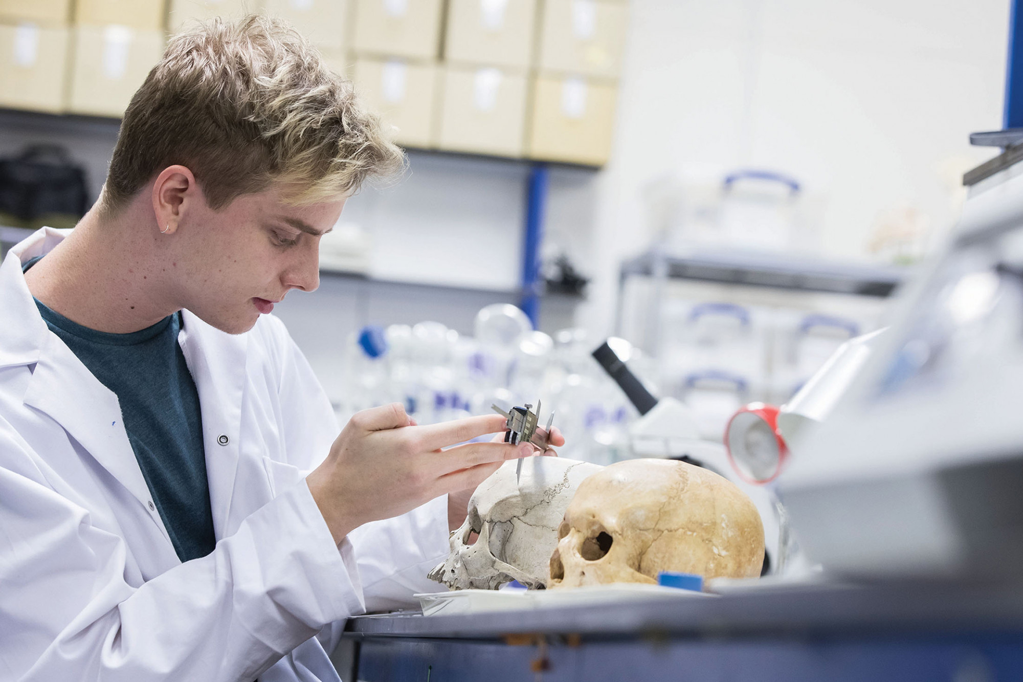 Student taking skull measurements in the lab
