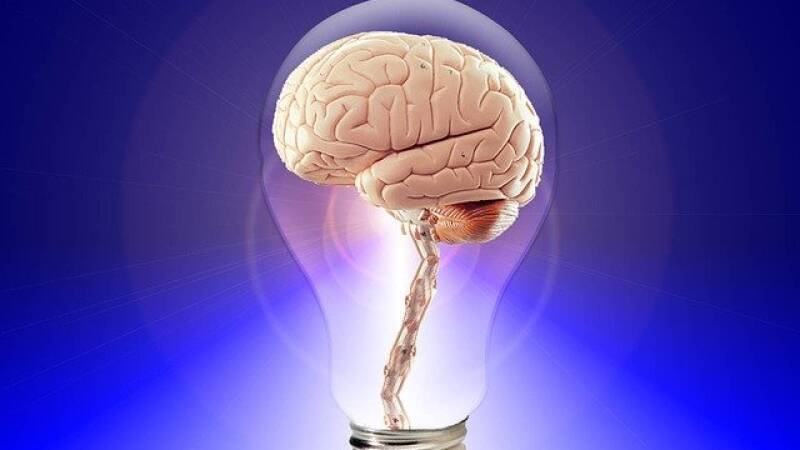 Illustration of a brain inside a lightbulb