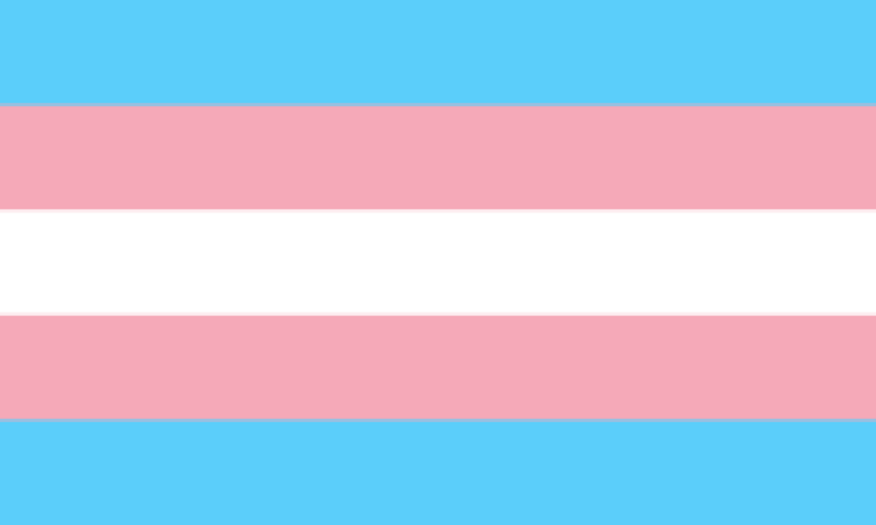 Image of the transgender pride flag