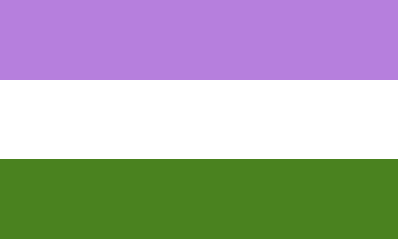 Gender queer flag