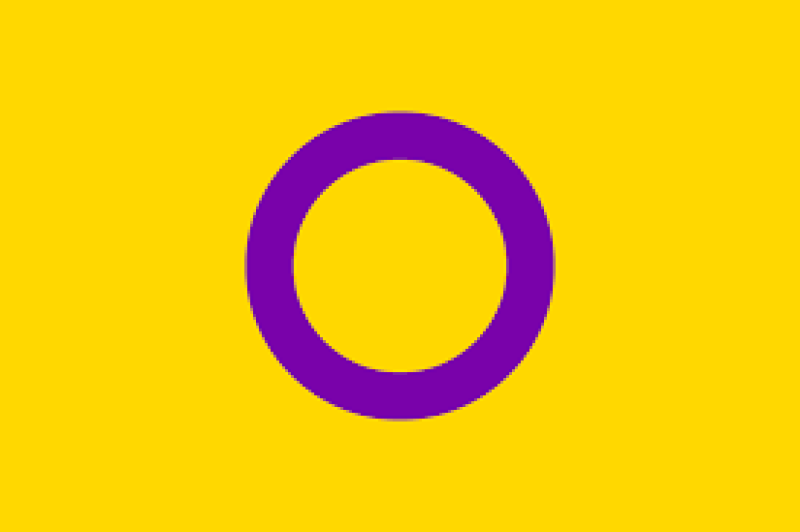 Intersex Pride Flag