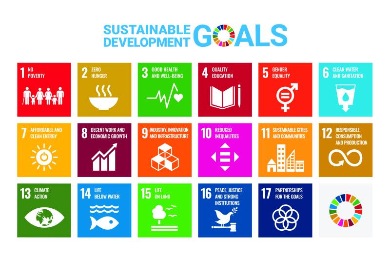 sdgs