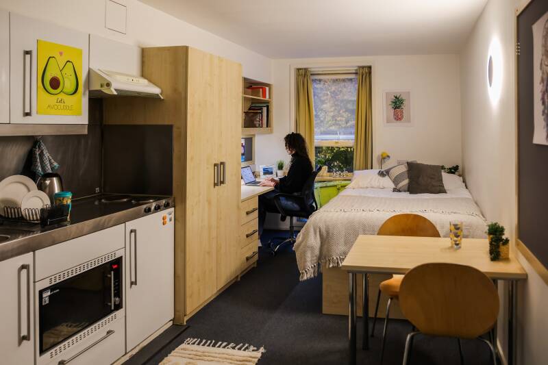 Woolf Studio flat with female student